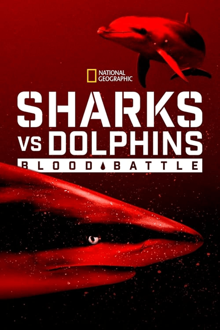 Sharks vs Dolphins: Blood Battle