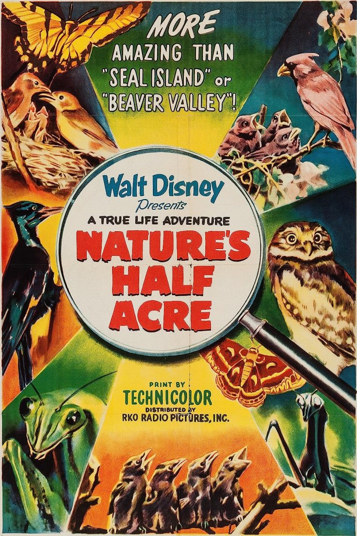 Nature’s Half-Acre