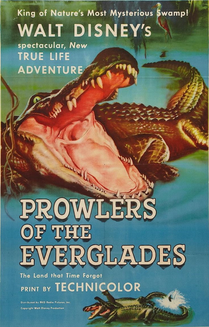 Prowlers of the&nbsp;Everglades