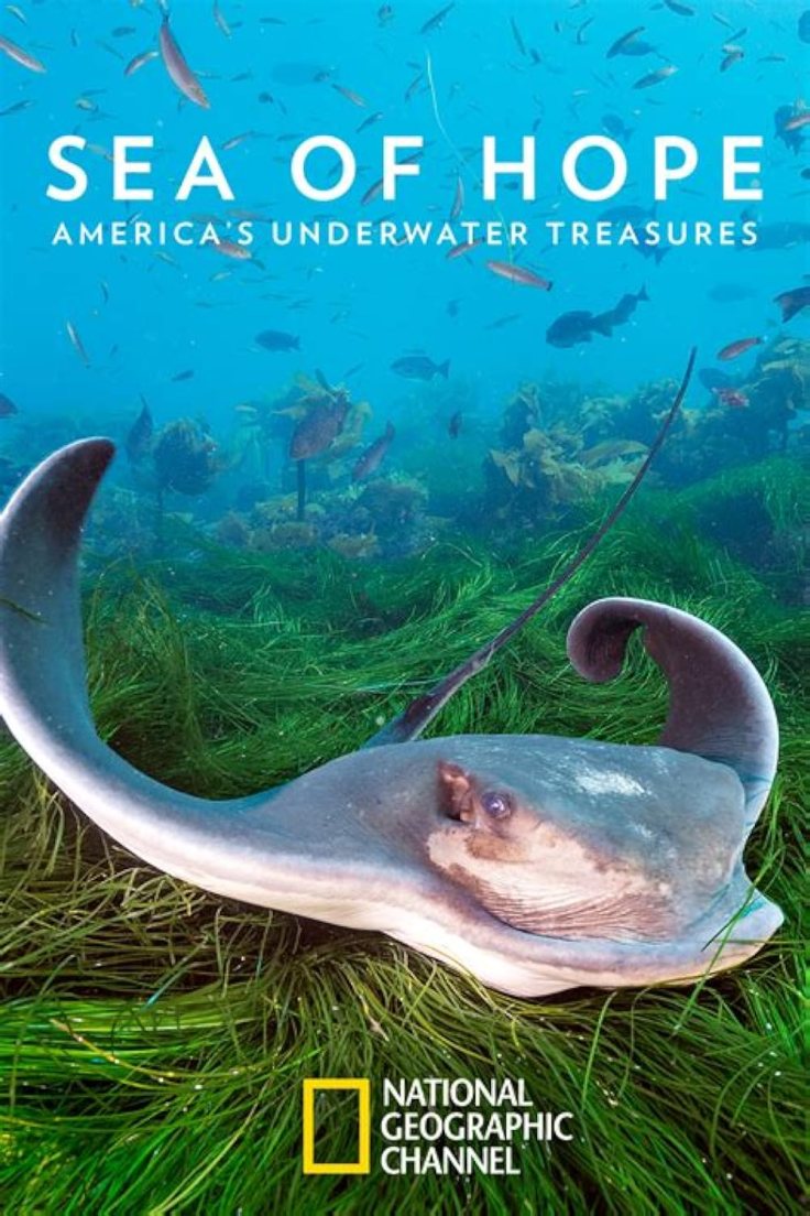 Sea of Hope: America’s Underwater&nbsp;Treasures